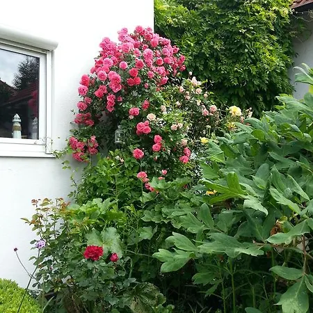 Rosen-garten Casa de Férias *