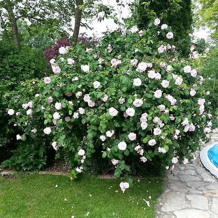 Casa de Férias Rosen-garten *